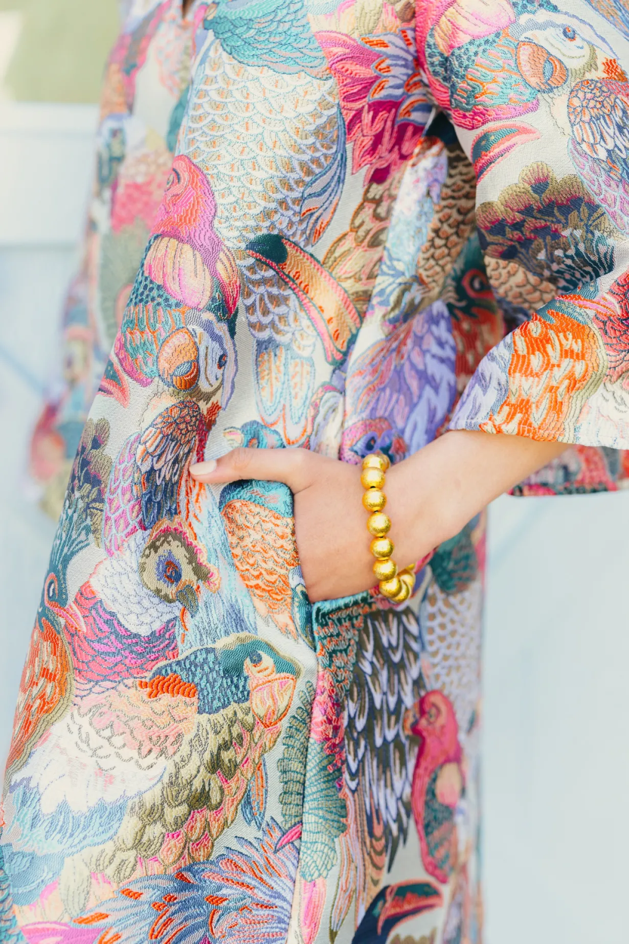 bc_caftan__bird_bam_dress_2.webp BC Caftan - Bird Bam Dress-Brianna Cannon Discount
