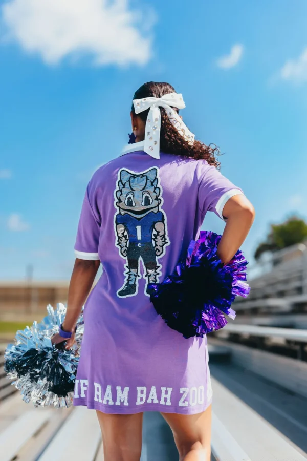 TCU White Bow Barrette-Brianna Cannon Online